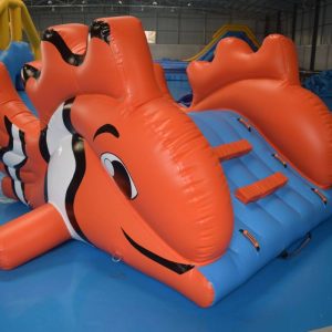 Clown fish slide – Klovne fisk sklie