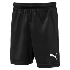 Puma LIGA Shorts Core w Brief Jr