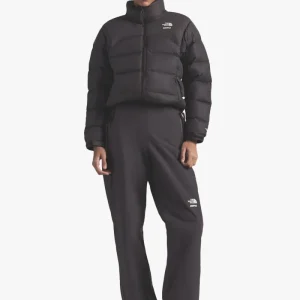 TNF X SKIMS 2000 RETRO SHRUNKEN NUPTSE